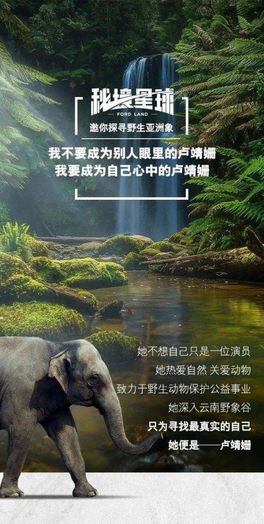 遗失之森