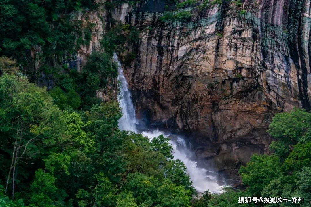大鹰森林逃生